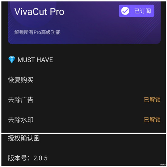 VivaCut Pro v2.0.5解锁付费专业版