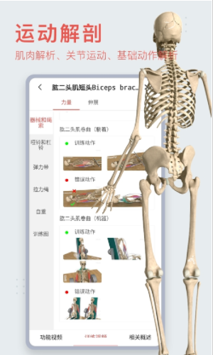 3Dbody解剖软件app最新安卓版下载