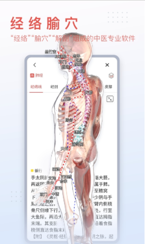 3Dbody解剖软件app