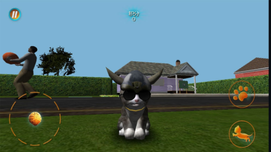 真实小猫3D模拟手游
