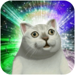 mur猫游戏安卓版