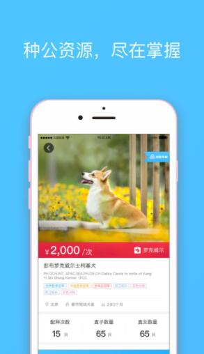 宠爱王国app安卓2022最新版下载