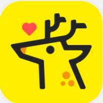小鹿组队app官方安卓版