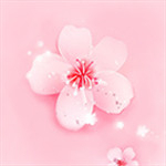樱花草在线高清免费观看www