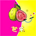 芭乐草莓向日葵榴莲app下载